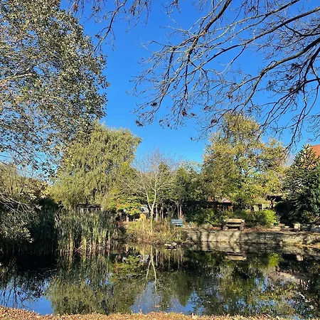 The Little Hide - Adult Only Pods Appartement Wigginton (North Yorkshire)