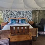 The Little Hide - Adult Only Pods 3*